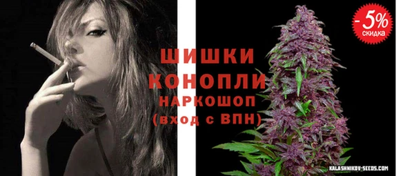 тгк Бородино