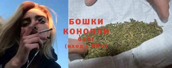 тгк Бородино