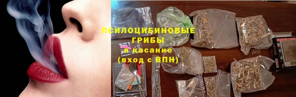 тгк Бородино