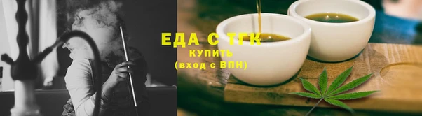 тгк Бородино