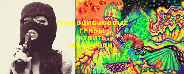 тгк Бородино