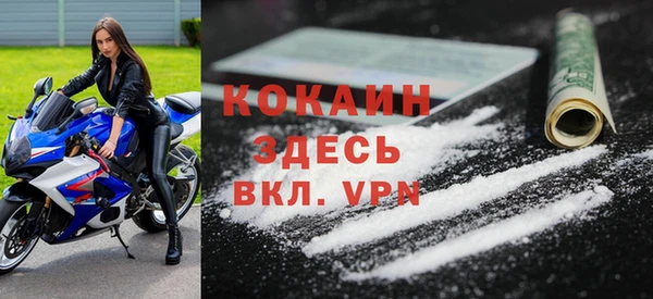 тгк Бородино