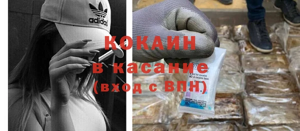 тгк Бородино